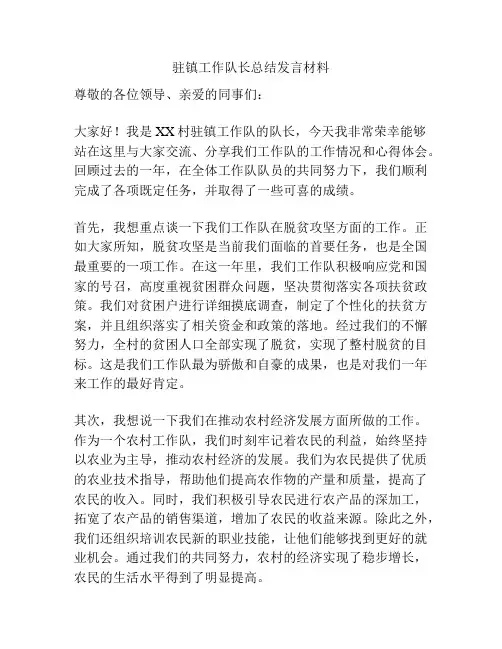 驻镇工作队长总结发言材料
