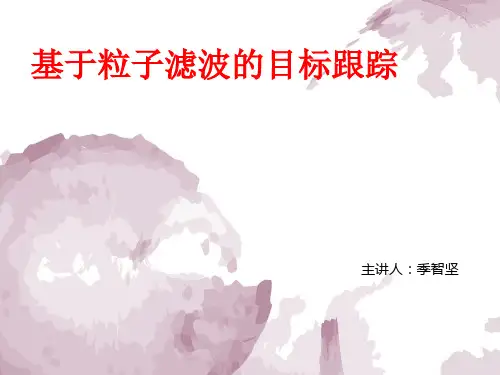 基于粒子滤波的目标跟踪算法解读