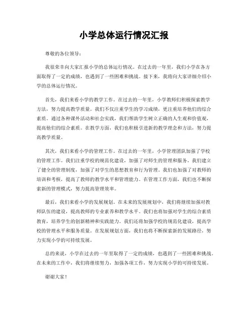 小学总体运行情况汇报