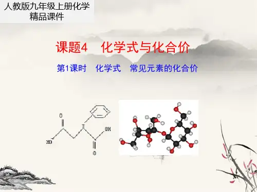 最新人教版九年级上册化学同步课件——化学式 常见元素的化合价