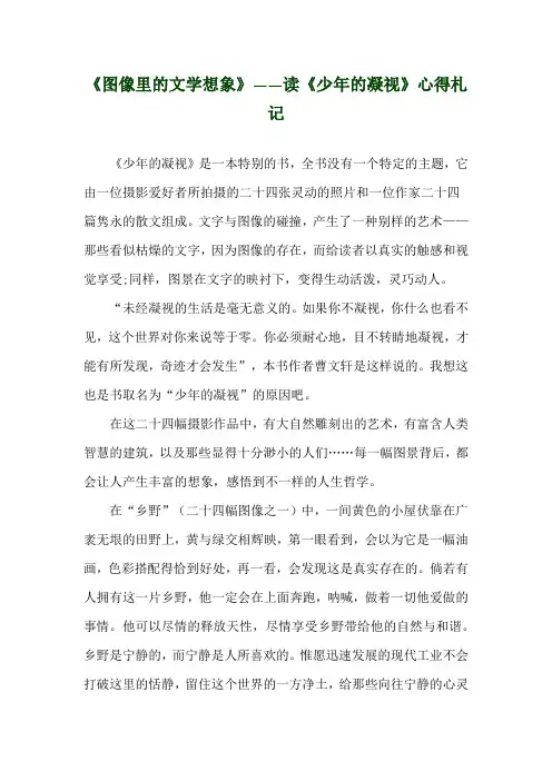 《图像里的文学想象》——读《少年的凝视》心得札记