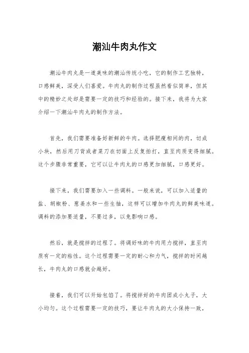潮汕牛肉丸作文