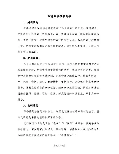 审计实训报告总结（2篇）