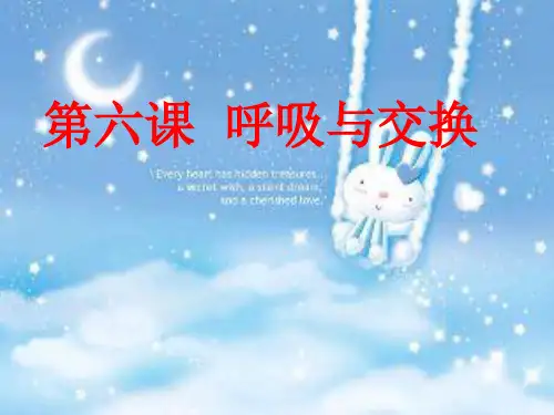 六年级下 6.《呼吸与交换》 冀人版ppt下载 (11页)