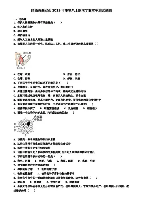 陕西省西安市2019年生物八上期末学业水平测试试题