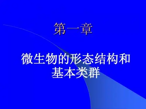 微生物形态结构和基本类群