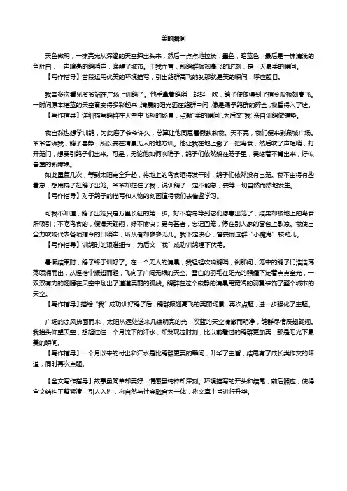 作文《美的瞬间》范文解读及写作指导