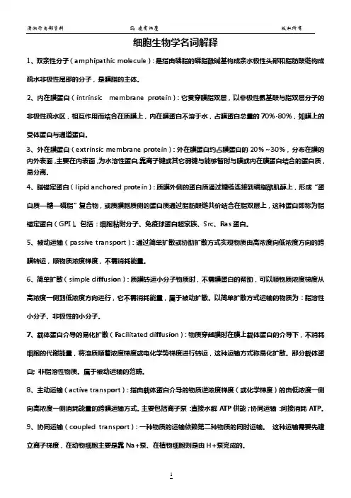 (完整版)山东大学细胞生物学期末考试题,基地班必看