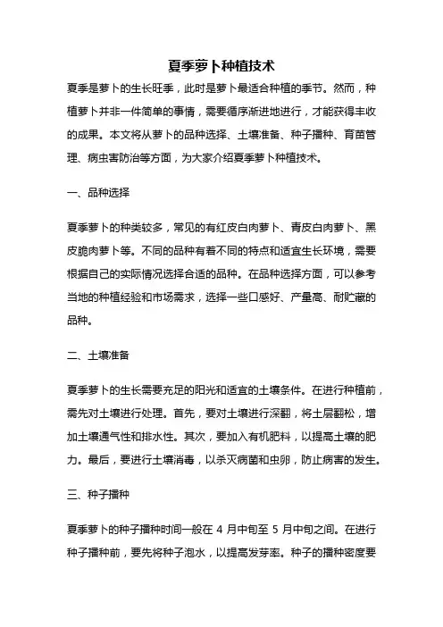 夏季萝卜种植技术