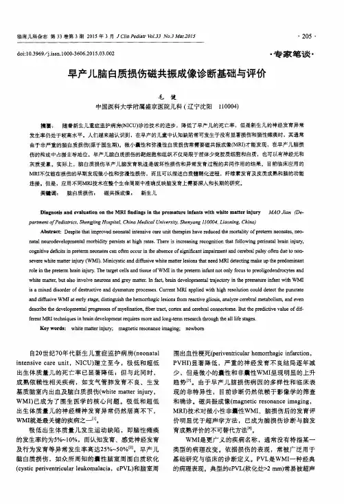 早产儿脑白质损伤磁共振成像诊断基础与评价