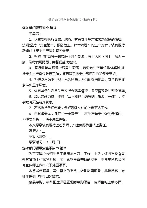 煤矿部门领导安全承诺书（精选3篇）