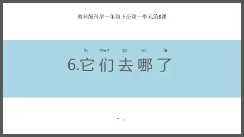 《它们去哪了》PPT精品课件