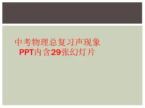 中考物理总复习声现象PPT内含29张幻灯片