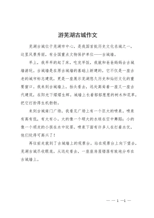 游芜湖古城作文