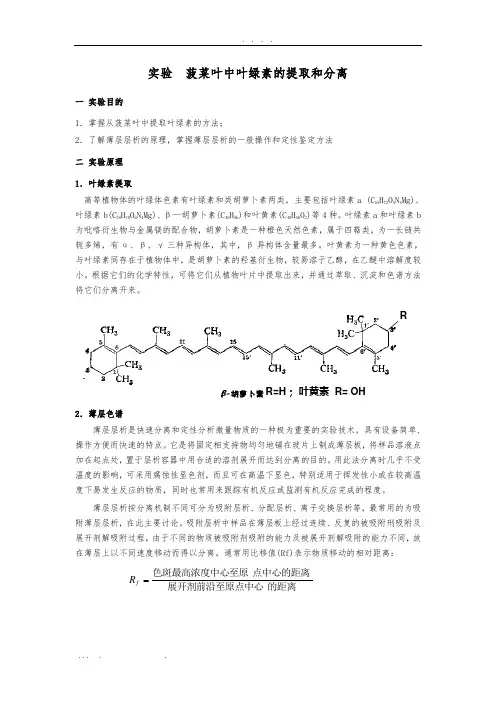 菠菜叶中叶绿素的提取和分离