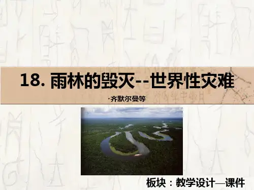 《雨林的毁灭-世界性灾难》概述PPT精品课件