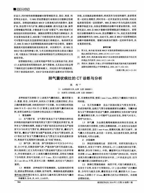 肺气囊状病灶的CT诊断与分析