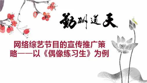 网络综艺节目的宣传推广策略以《偶像练习生》为例