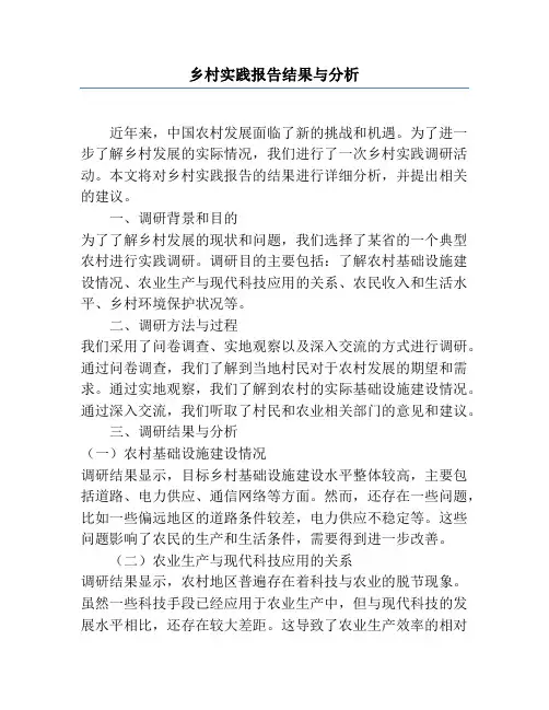 乡村实践报告结果与分析
