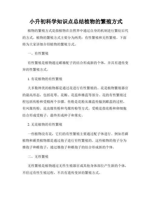 小升初科学知识点总结植物的繁殖方式