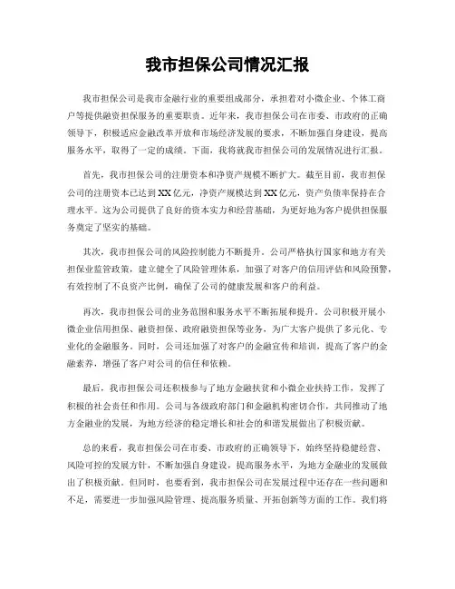 我市担保公司情况汇报