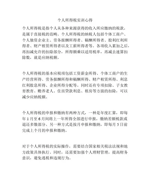 个人所得税实训心得