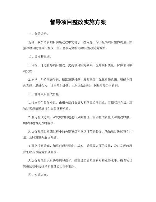 督导项目整改实施方案