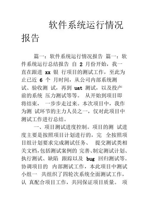 软件系统运行情况报告