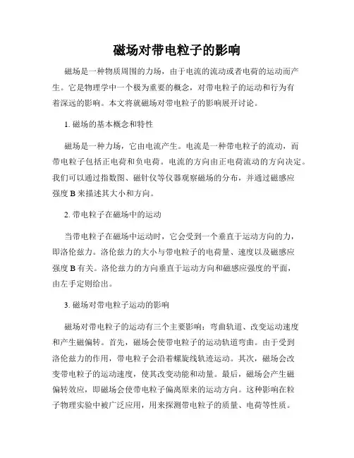 磁场对带电粒子的影响