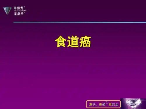食道癌及术前术后护理 ppt课件