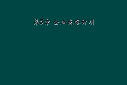 第5章 企业战略计划
