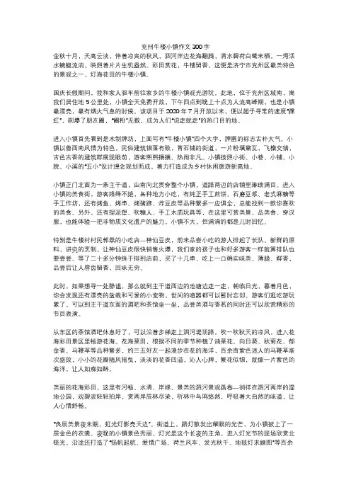 兖州牛楼小镇作文300字