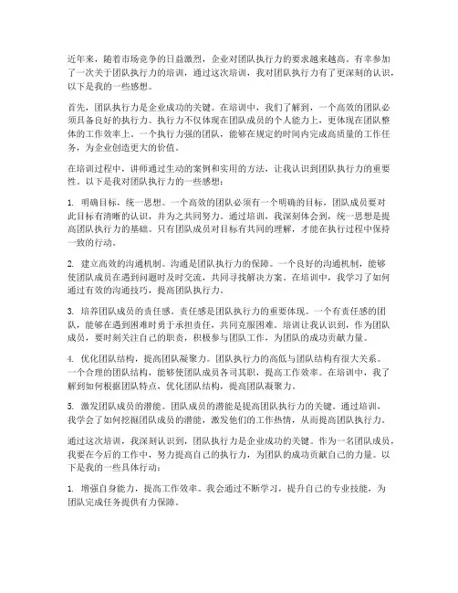 培训团队执行力的感想