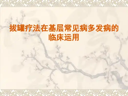 拔罐疗法在临床中的运用PPT课件