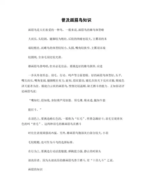 普及画眉鸟知识
