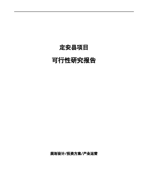 定安县如何编写可行性研究报告(参考)