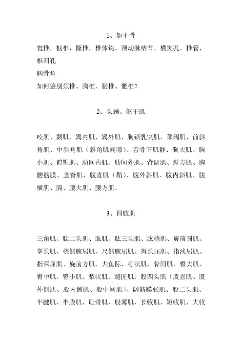 系统解剖学重点