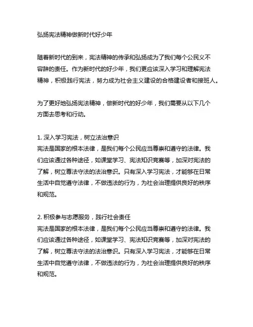 弘扬宪法精神做新时代好少年的征文
