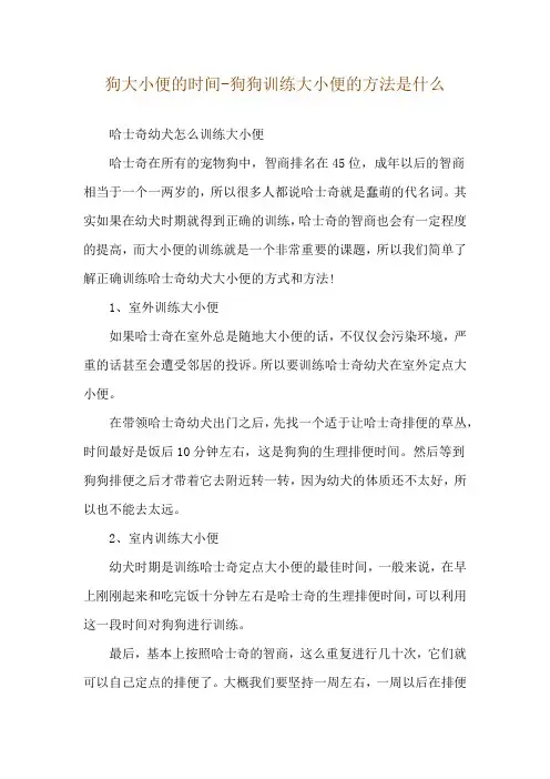 狗大小便的时间-狗狗训练大小便的方法是什么