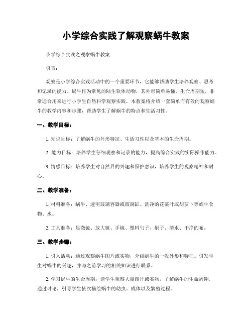 小学综合实践了解观察蜗牛教案