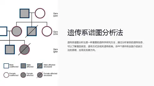 《遗传系谱图分析法》课件