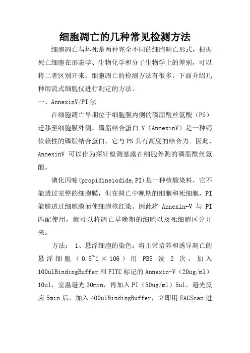 细胞凋亡的几种常见检测方法
