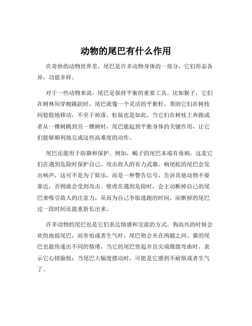 动物的尾巴有什么作用