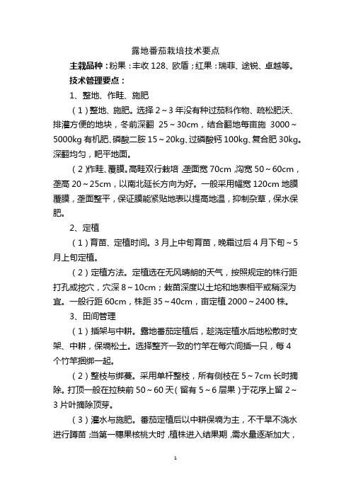 露地番茄栽培技术要点