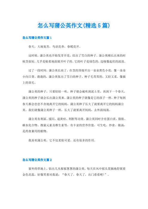 怎么写蒲公英作文(精选5篇)