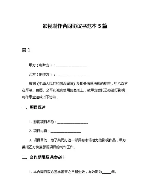 影视制作合同协议书范本5篇