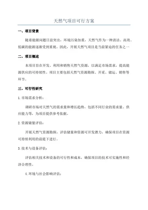 天然气项目可行方案