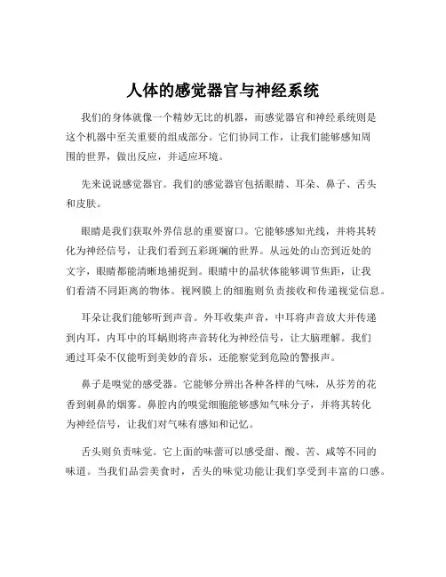 人体的感觉器官与神经系统