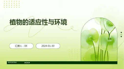 植物的适应性与环境