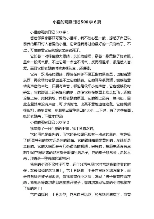 小猫的观察日记500字6篇